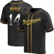 Black Golden Replica Kent Hrbek Men's Minnesota Alternate Jersey