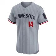 Gray Elite Kent Hrbek Men's Minnesota Road Jersey